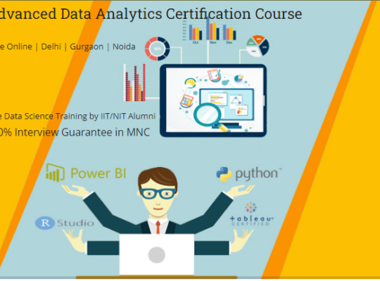 Job Oriented Data Analyst Course in Delhi, 110080.