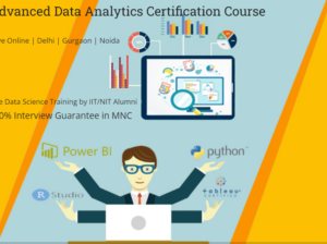 Job Oriented Data Analyst Course in Delhi, 110001.