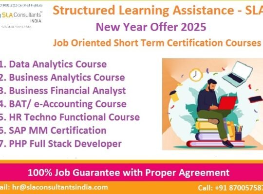 Business Analyst Course in Delhi, 110040,